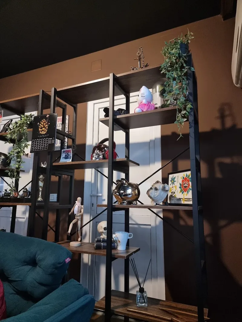 Rafturi cu plante și obiecte de colecție în studio